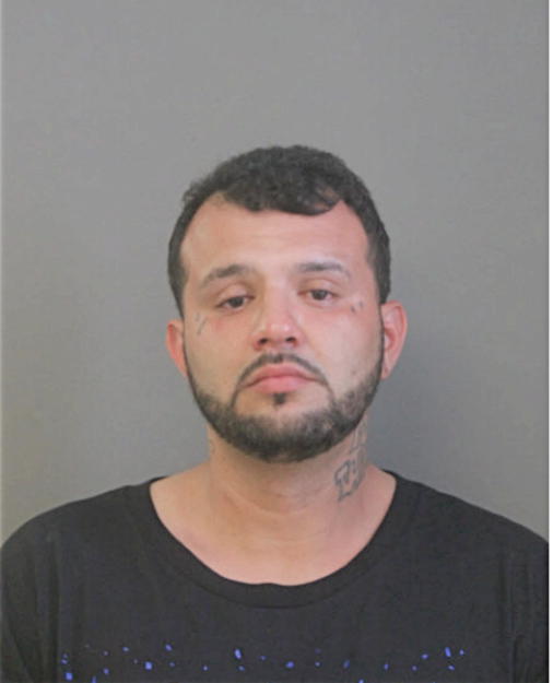 RICARDO ARTEAGA, Cook County, Illinois