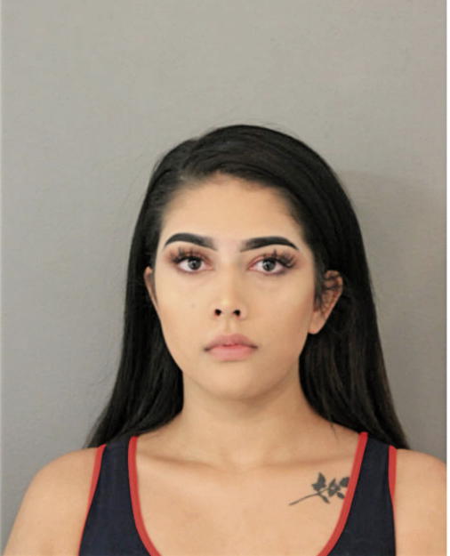 ANISHA H BELGAL, Cook County, Illinois