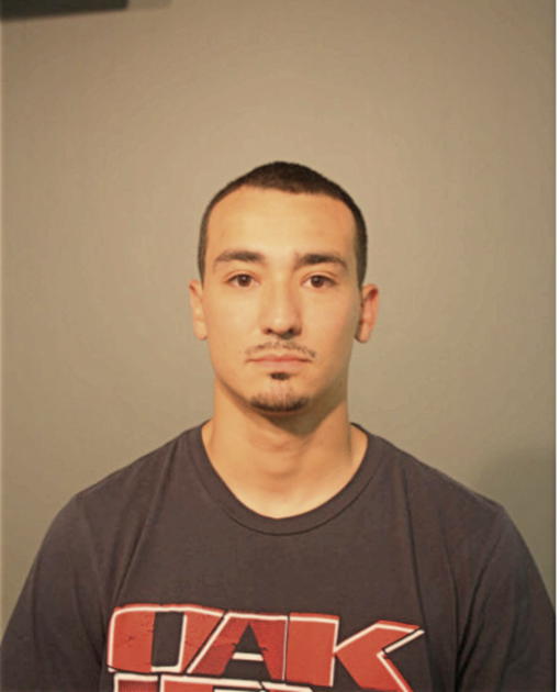 CARLOS R COLON, Cook County, Illinois