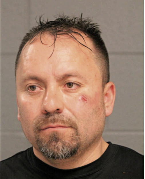 JUAN J DE LEON, Cook County, Illinois