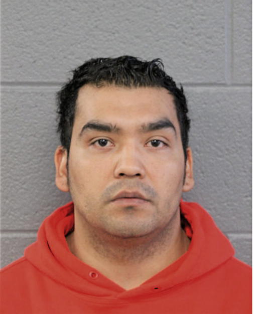 NICOLAS GARCIA, Cook County, Illinois