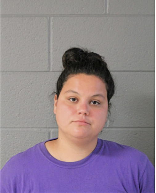CHRISTINA N GUANAJUATO, Cook County, Illinois
