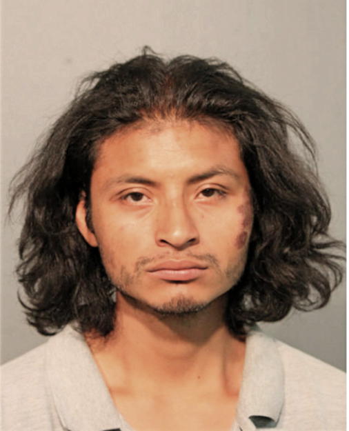 JOSE ALEX GUARNEROS, Cook County, Illinois