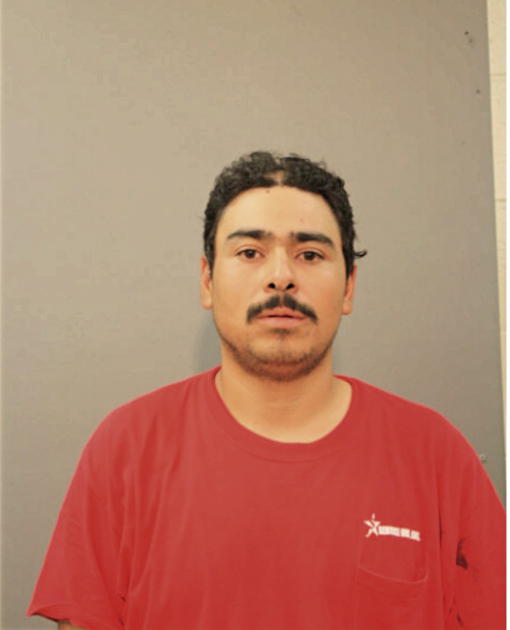 DIEGO GUZMAN, Cook County, Illinois