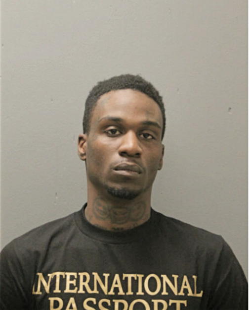 JOSHUA HUNT, Cook County, Illinois