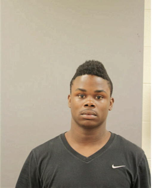 DAYTON S JOHNSON, Cook County, Illinois