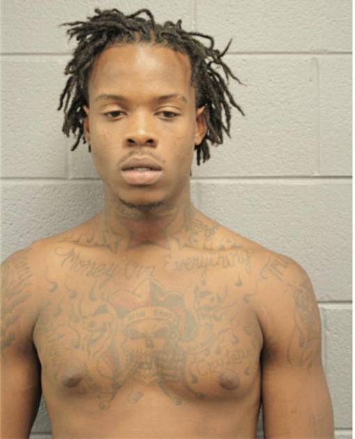 GEORGE J JOHNSON, Cook County, Illinois