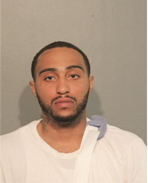 JEREMY L MARTINEZ, Cook County, Illinois