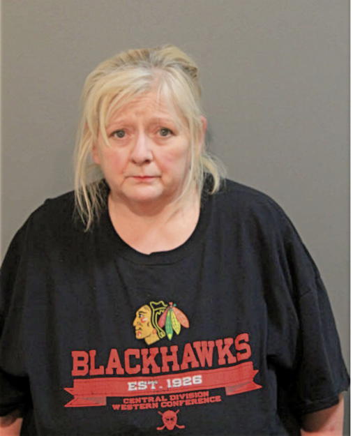 LISA C MCKINLEY, Cook County, Illinois