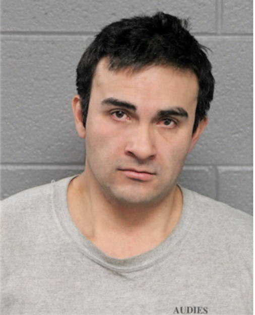 JAVIER ROMERO MEDINA, Cook County, Illinois
