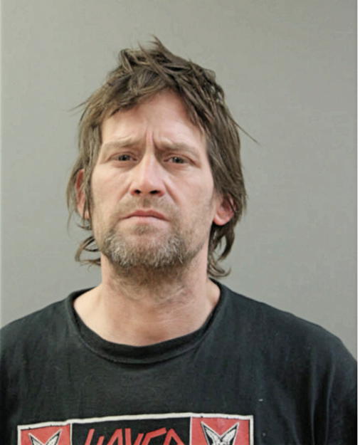 SHAWN M REEVES, Cook County, Illinois