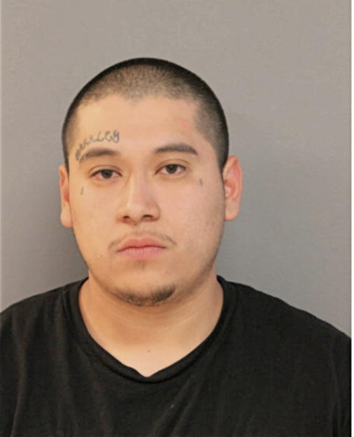 JOEL SANDOVAL, Cook County, Illinois