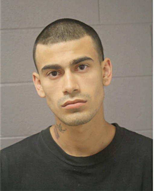 JOSE A VEGA, Cook County, Illinois