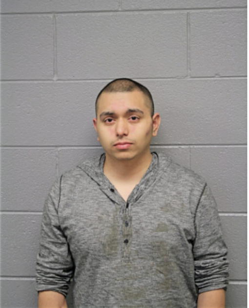MIGUEL A VILLA, Cook County, Illinois