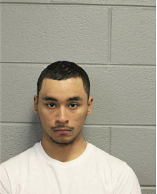 WALTER W WEAVER, Cook County, Illinois
