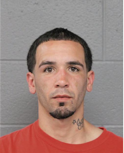 ANGEL R AMARO, Cook County, Illinois