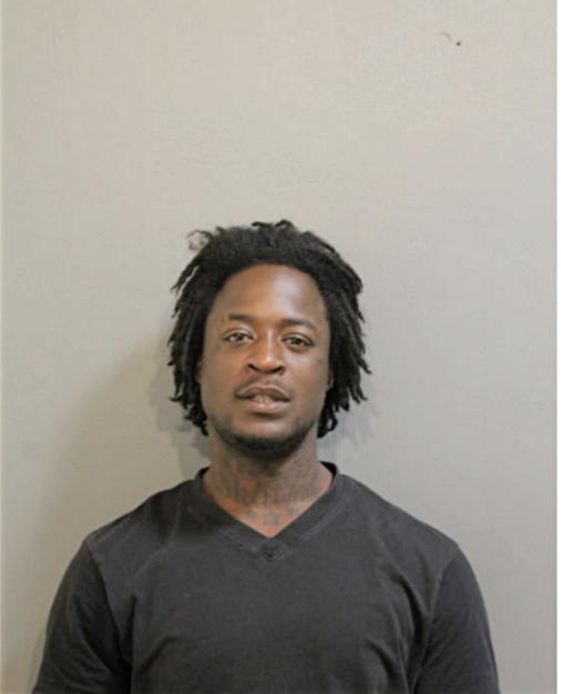 CORSHON M BERGMAN, Cook County, Illinois