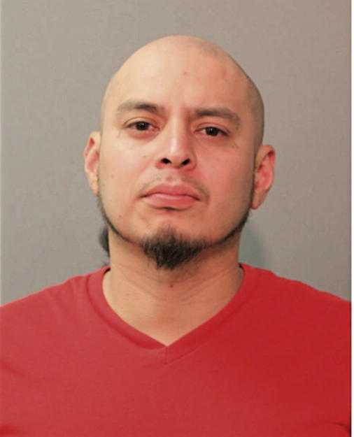 MIGUEL A BOYAS, Cook County, Illinois