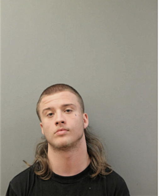 JESSE M BRIGGS, Cook County, Illinois