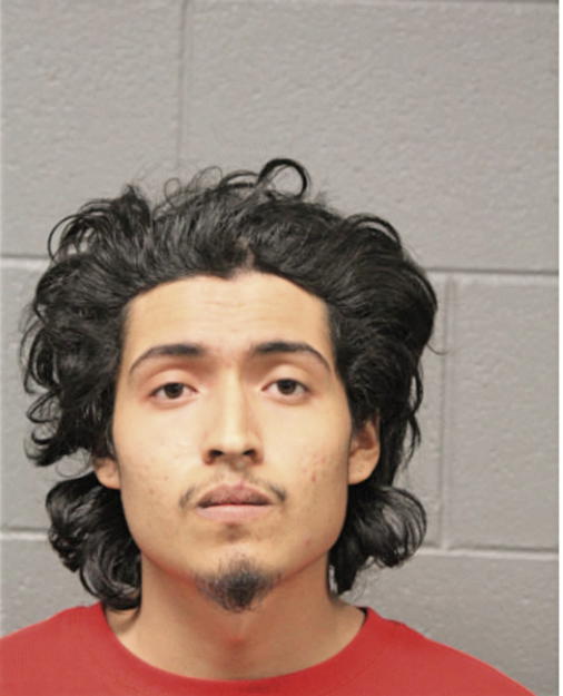 ALAN A DIAZ, Cook County, Illinois