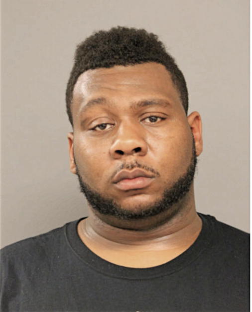 DAVID M ENGLISH, Cook County, Illinois
