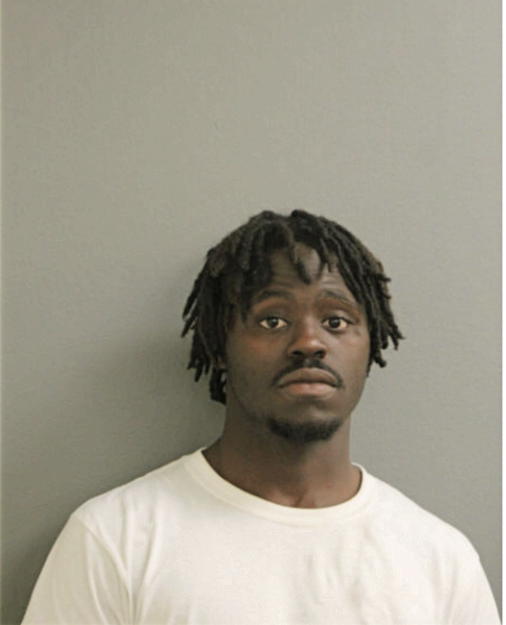 NINO L GRACE, Cook County, Illinois