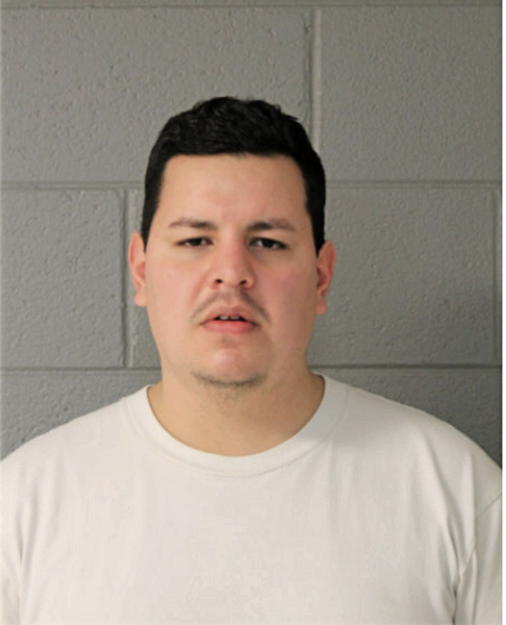 ADRIAN A GRIJALVA, Cook County, Illinois