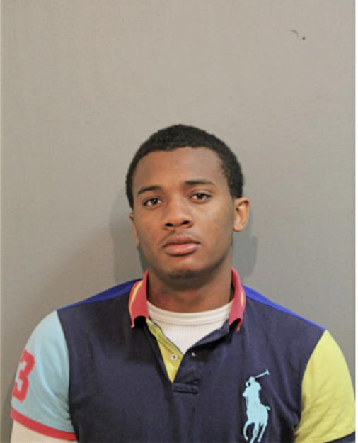 STEFAN M HOLLINS, Cook County, Illinois
