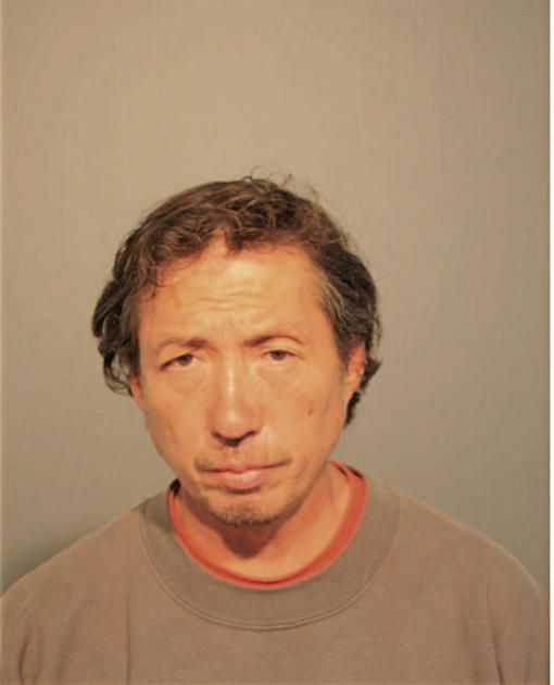 BOBBY C IDAKA, Cook County, Illinois