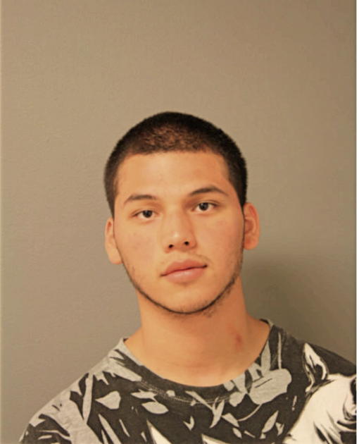 LUIS INGUEZ, Cook County, Illinois