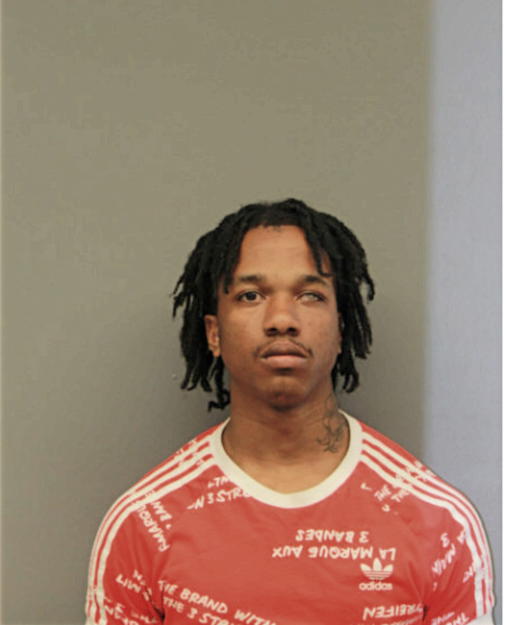 GABRIEL JOHNSON, Cook County, Illinois