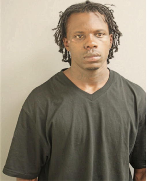 LOUIS J JOHNSON, Cook County, Illinois