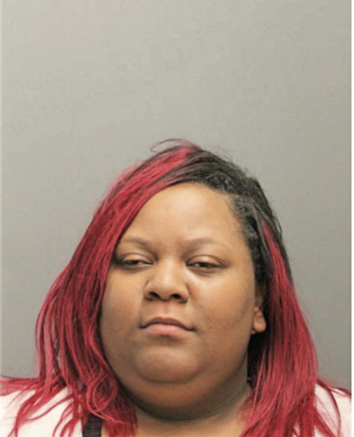NICOLE D JOHNSON, Cook County, Illinois