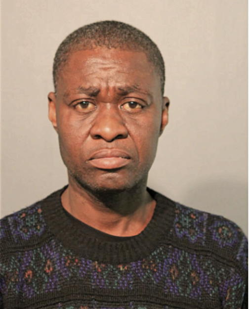 FINEFACE S KOKO, Cook County, Illinois