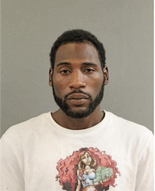 BRIAN L LEWIS, Cook County, Illinois