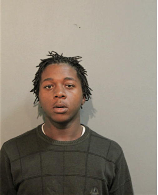 CHRISTOPHER M DAVIS, Cook County, Illinois