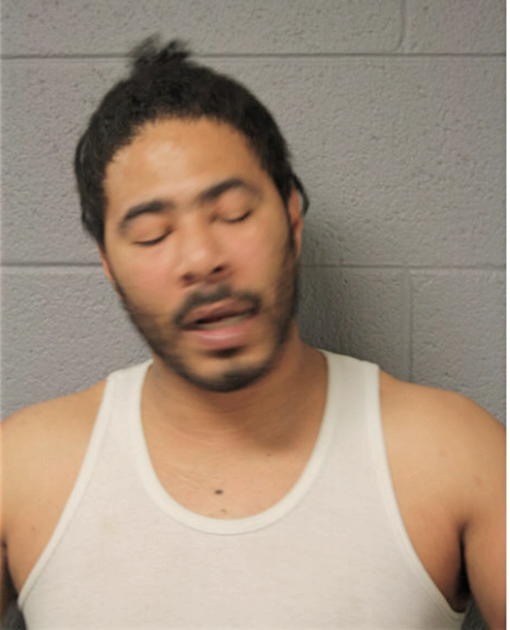 TIMOTHY S MORENO, Cook County, Illinois