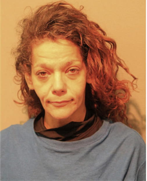 BONNIE L NIETO, Cook County, Illinois