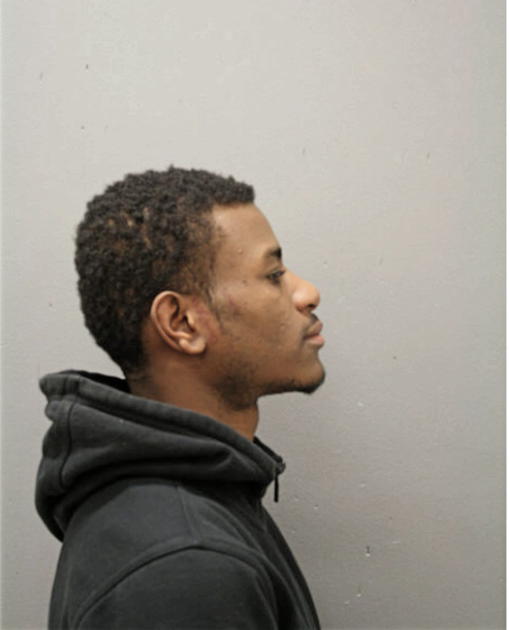 MARLISS R PELMER, Cook County, Illinois