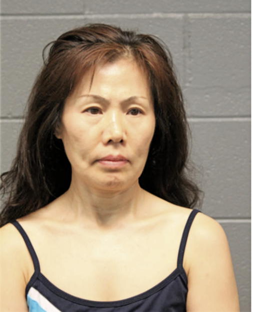 HUI Z PENG, Cook County, Illinois