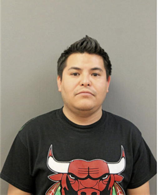 JOSE L RAMIREZ, Cook County, Illinois