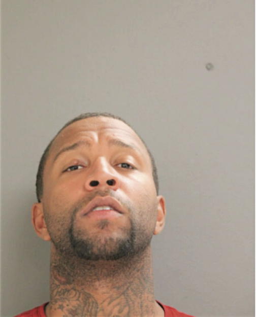 CHRISTOPHER T REYNOLDS, Cook County, Illinois