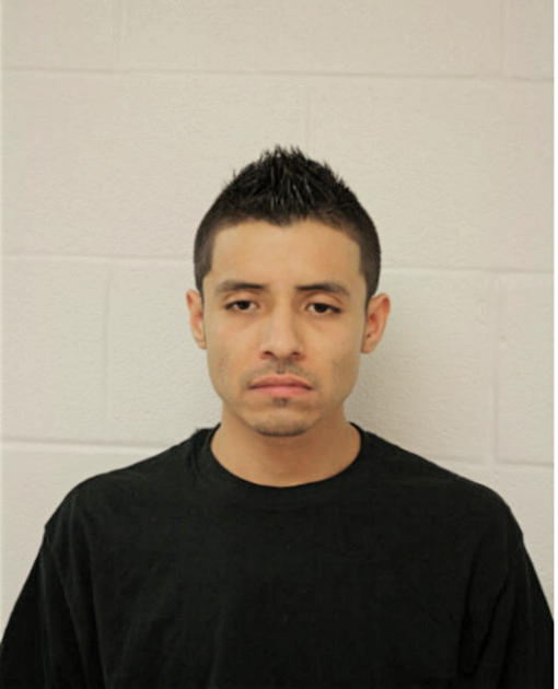 ERNESTO ROA-HERNANDEZ, Cook County, Illinois