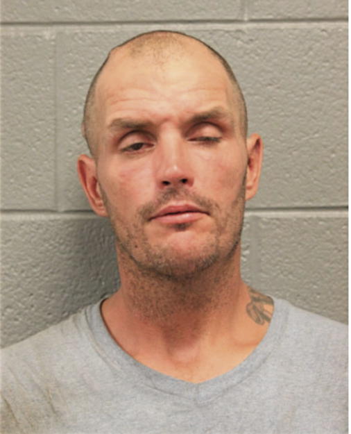 DANIEL A SCHADT, Cook County, Illinois
