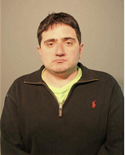 SAAM AMIRSOLTANI, Cook County, Illinois