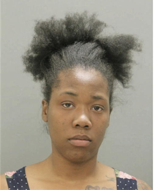 NATASHA S ARNOLD, Cook County, Illinois