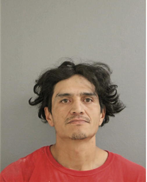 MIGUEL ARRIAGA, Cook County, Illinois