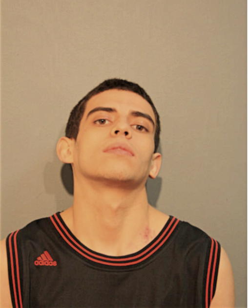 JAVONNI J AVILA, Cook County, Illinois