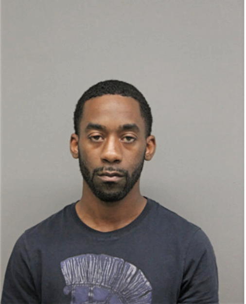 DAVID A BROWN, Cook County, Illinois