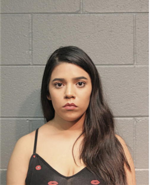 JESSICA C CASTILLO, Cook County, Illinois